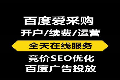 精准投放，高效转化——网站sem托管的胜利案例