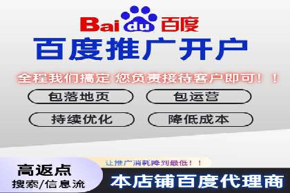 SEM专员案例：数据分析与优化
